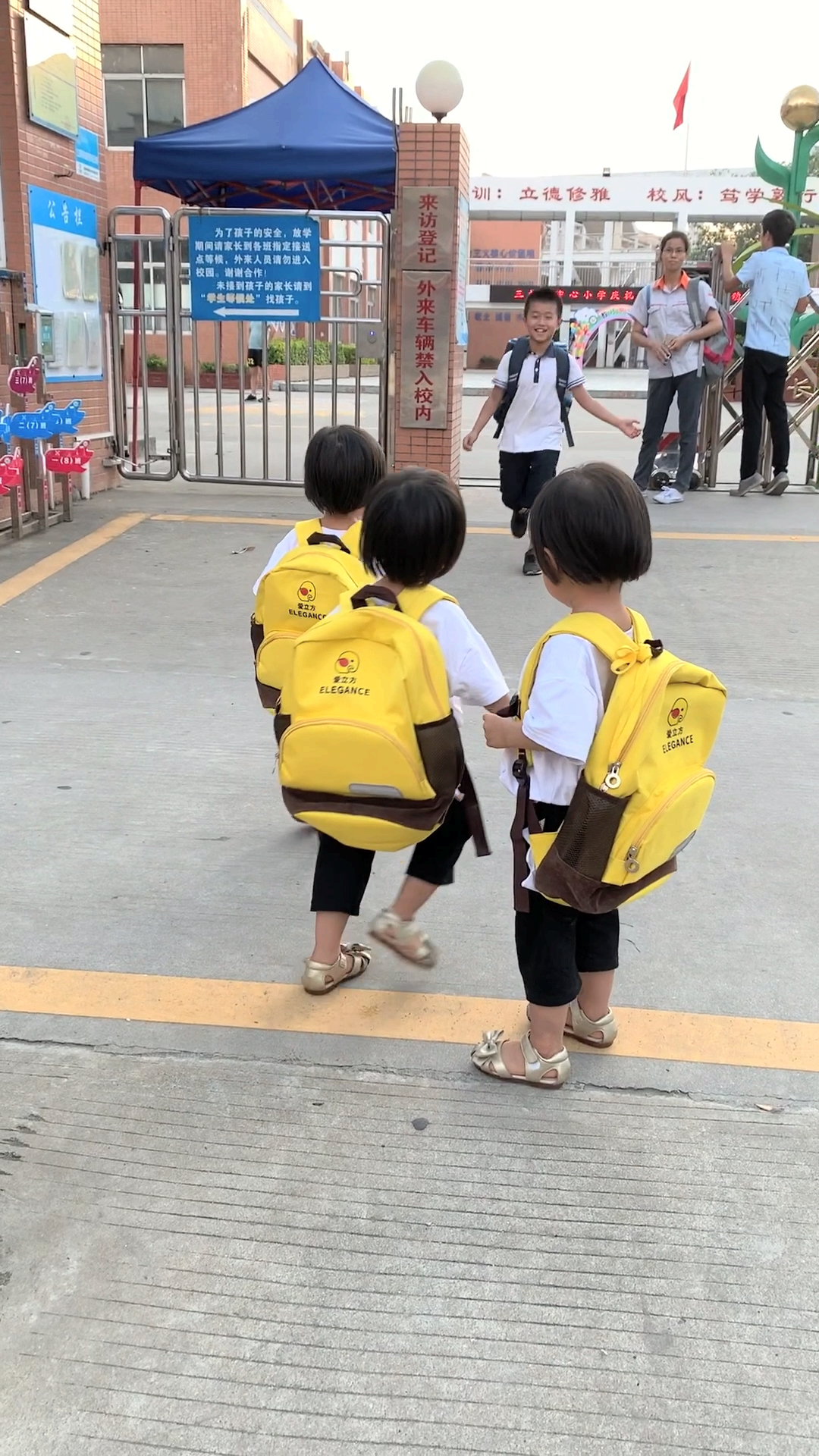 三胞胎妹妹放学了，说要去看哥哥。当哥哥看看妹妹那瞬间，整个世界都被感动了！