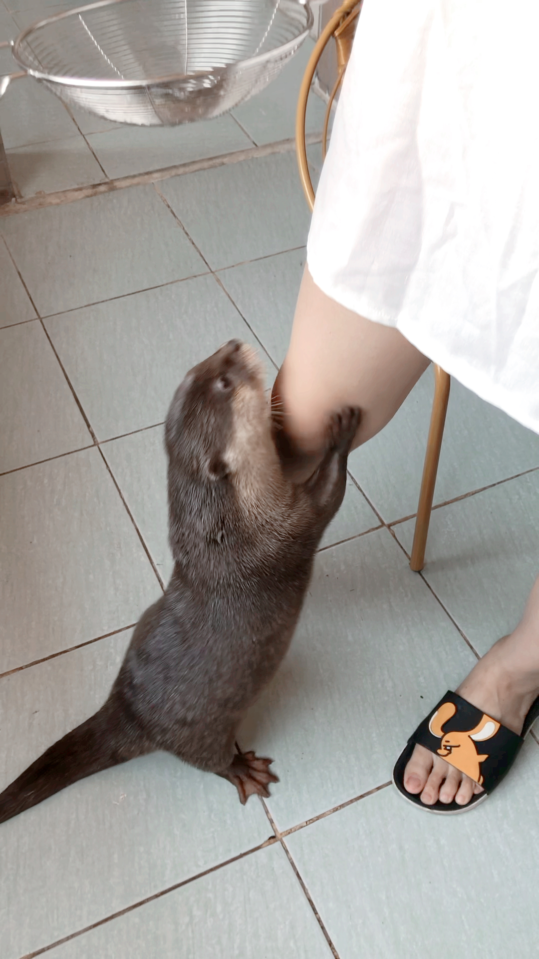 为了吃泥鳅，不要面子的抱大腿